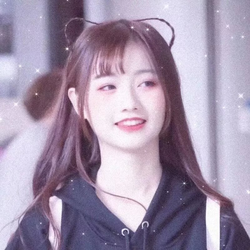 蜂蜜与四叶草